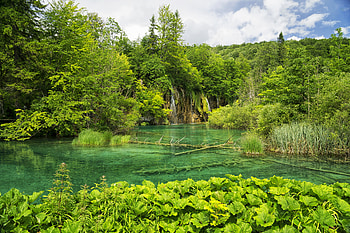 Greenery, Croatia, Nature, , Waterfall, Waterfalls HD wallpaper