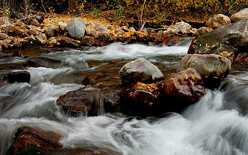 Nature, Rivers, Stones, Leaves HD wallpaper