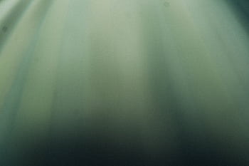 A subtle abstract background with soft green gradient tones, ideal for digital designs. HD wallpaper