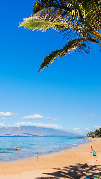 Maui, Hawaii, Beach paradise, Nature's beauty HD phone wallpaper