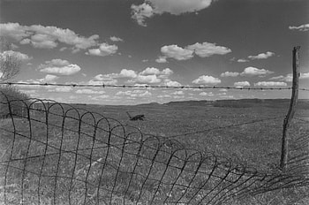 B&W Field , prize winning, black and white, field, fence, clouds, prize, sky, pasture HD wallpaper