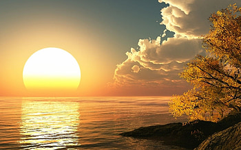 Morning Sun , Good Morning Sunshine HD wallpaper