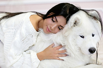 ❤, dog, girl, friends, love HD wallpaper