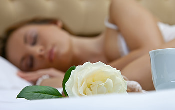 Dream, rose, girl, sleep HD wallpaper