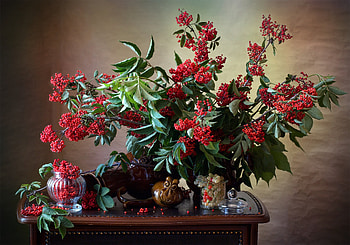Still Life, vase, Still, life, flower HD wallpaper