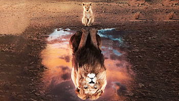 The Lion King Fanart , the-lion-king, movies, 2019-movies HD wallpaper