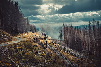 Steam train travels through misty Harz forest, offering a scenic journey amidst dark clouds. HD wallpaper