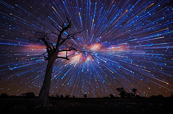 night, nature, star trail HD wallpaper