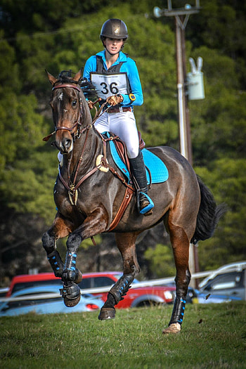 Eventing aesthetic, Eventing horses, Equestrian fashion, Equestrian sports HD phone wallpaper