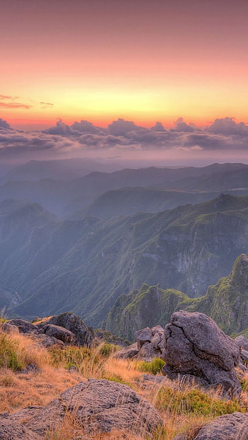 Madeira travels, Island paradise, Different dimensions HD phone wallpaper