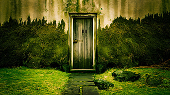 Mystical Moss Wall: A Escape, moss wall, door, nature, greenery, path HD wallpaper