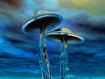 NEON BLUE, blue, metal, neon, mushrooms HD wallpaper