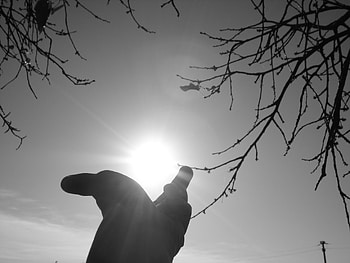 beautiful light, tree branches, light, black and white, sun, hand HD wallpaper