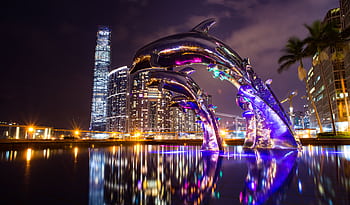 Dramatic cityscape at night featuring illuminated dolphin sculpture with reflections. HD wallpaper