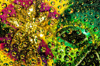 Abstract, Drops, Multicolored, Motley, Bubble HD wallpaper