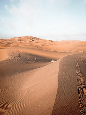 Nature, Sky, Sand, Desert, Traces, Dunes HD phone wallpaper