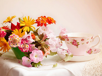 SPRING TEA, teacups, still life, posies, setting, crockery, teatime, daisies HD wallpaper