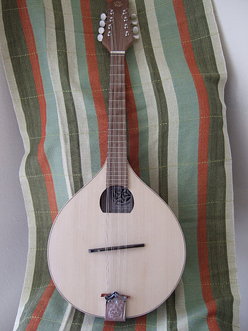 Mandola, Caroline Lacombe, Artistic instrument, Captivating charm HD phone wallpaper