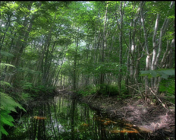 The Dream of Dreams, dream, stream HD wallpaper