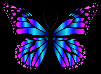 Colorful, Artistic, Butterfly, Colors, Purple HD wallpaper
