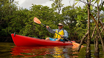 MacArthur State Park, Kayaking HD wallpaper