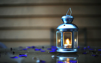 ◢✿◣, Lamp, light, floor, petals HD wallpaper
