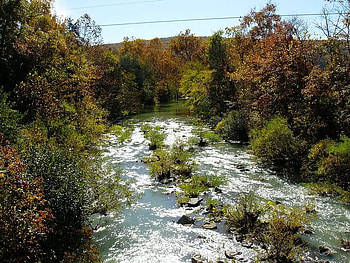 Great River, trees, river, flowing, sky HD wallpaper