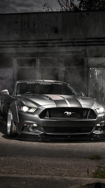 Mustang, Ford silver muscle car, , Compatible devices HD phone wallpaper