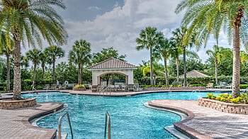 Relaxing tropical poolside scene with palm trees, gazebo, and clear blue water at a luxury resort. HD wallpaper