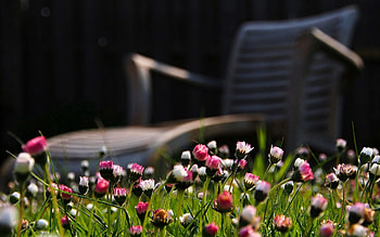 Nature, Grass, Shine, Light, Chair HD wallpaper