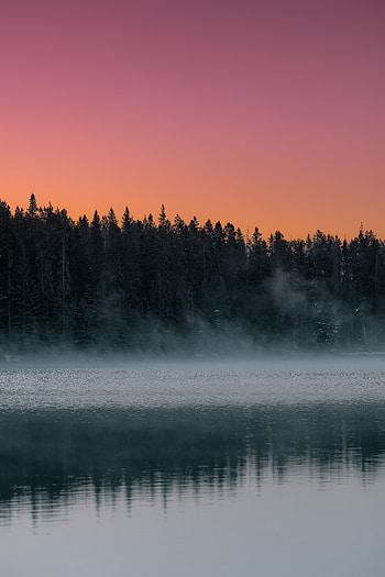 Landscape, Nature, Trees, Twilight, Lake, Fog, Dusk HD phone wallpaper