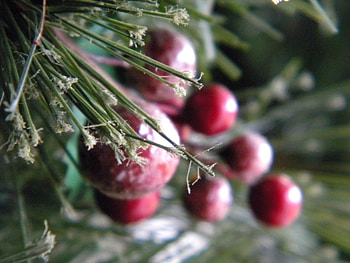 Icy Berries, christmas, icy, red, berries, holly, ice, wreath HD wallpaper