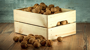 Food, Box, Shell, Walnuts HD wallpaper