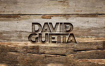 David Guetta wooden logo, , Pierre David Guetta, wooden backgrounds, french DJs, David Guetta logo, creative, wood carving, David Guetta HD wallpaper