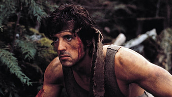 Sylvester Stallone, Captivating performance, Iconic figure, Cinematic charisma HD wallpaper