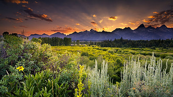 wonderful landscape at grand tetons sunrise, landscape, mountains, sunrise, vegetation HD wallpaper