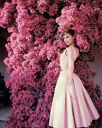 Vogue 1955, Audrey Hepburn HD phone wallpaper