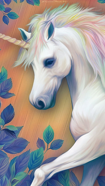 Unicorn, Star Unicorn Horse HD phone wallpaper