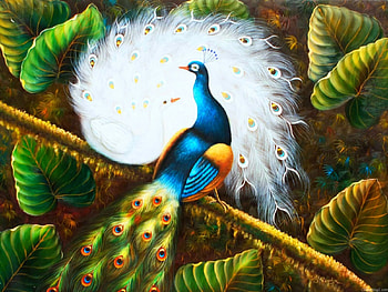 Peacock background, bird, art, garden, beautiful, background, leaves, painting, pretty, peacock, lovely HD wallpaper