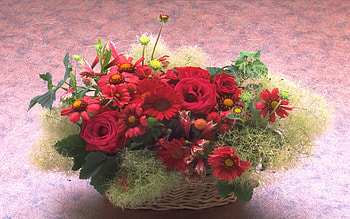 Plants, Holidays, Flowers, Roses, Chrysanthemum, Bouquets HD wallpaper