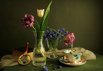 Still Life, vase, book, cup, flower HD wallpaper