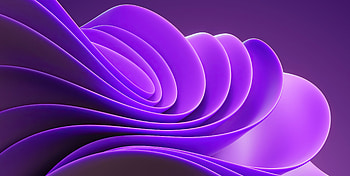 Windows 11 Minimal Purple , windows-11, windows, computer, stock, microsoft, behance HD wallpaper