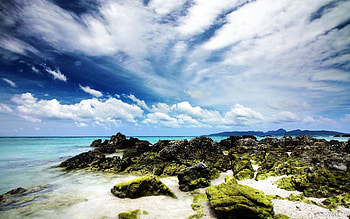 Nature, Sea, Shore, Bank, Island, Reefs, Clear, I See HD wallpaper