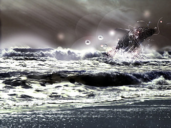 Abstract, Water, Shine, Light, Brilliance, Grey HD wallpaper