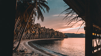 Nature, Sunset, Sea, Beach, Palms, Tropics HD wallpaper