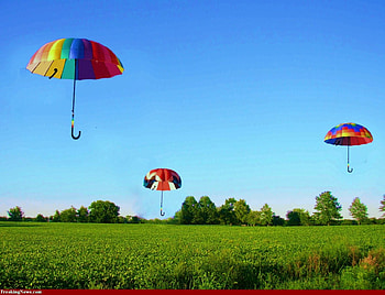 Ready for April showers, open, umbrellas, country sky, trees, colors, grass HD wallpaper