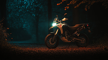 forest, night HD wallpaper