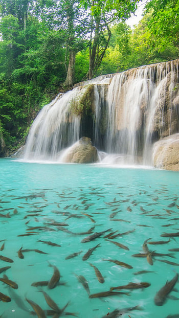 Erawan waterfall, , Beautiful waterfall, Google HD phone wallpaper