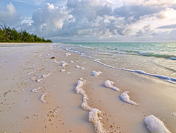 Nature, Sea, Shore, Bank, Foam HD wallpaper