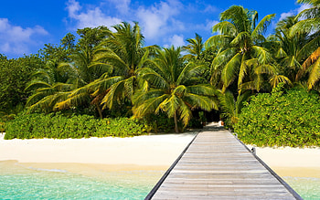 Tropical , Background , Earth beach, Travels expert HD wallpaper